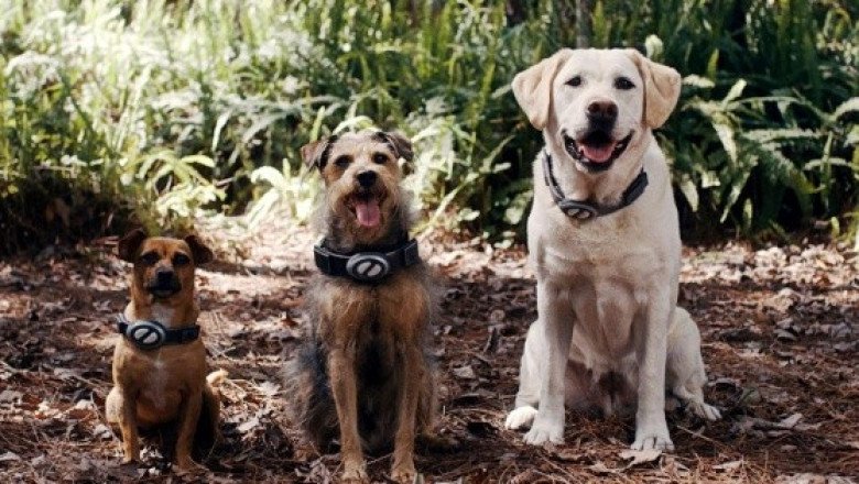 La recomendación de hoy en la cartelera de cine es “Cachorros Espaciales”