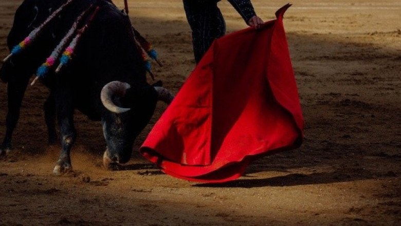 Ordenan suspensión inmediata de corridas de toros en la Plaza México