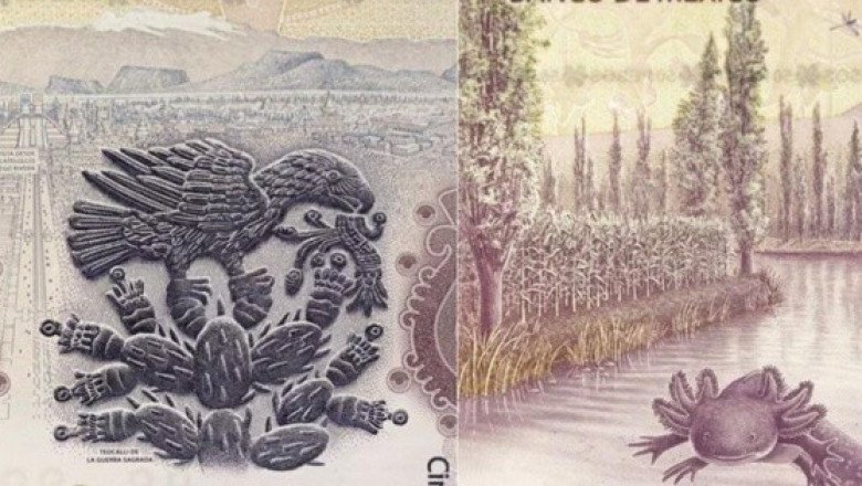 Esta es la colección de billetes del ajolote que se vende hasta en medio millón de pesos