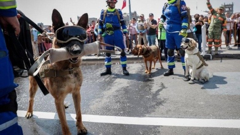 ¿Cuándo es el primer simulacro nacional este 2024?