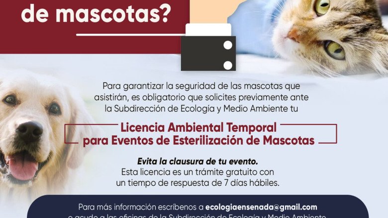 Invitan a tramitar licencia ambiental temporal