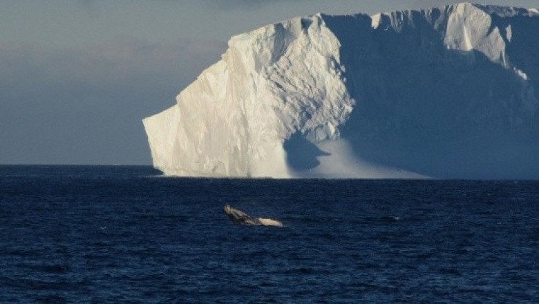 Los lugares que podrían desaparecer por el cambio climático