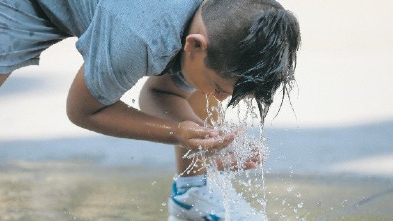 Este año sería el más cálido de la historia