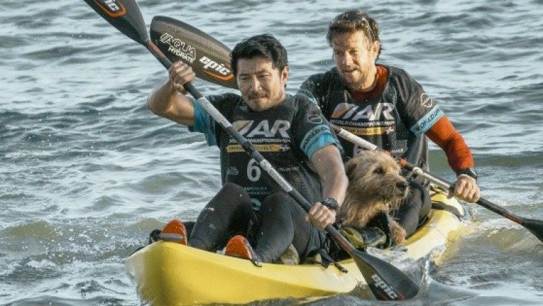 Una historia real sobre lealtad y resistencia