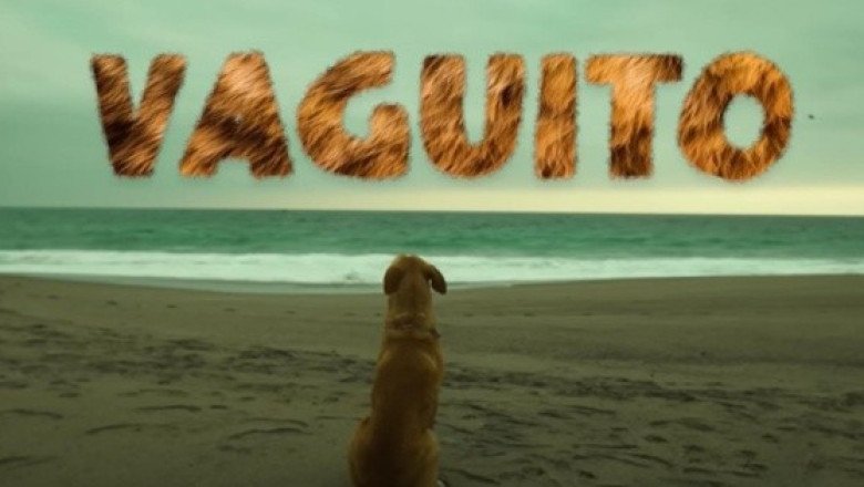 Vaguito: ¿se estrenará en México la película del Hachiko peruano que es tendencia?