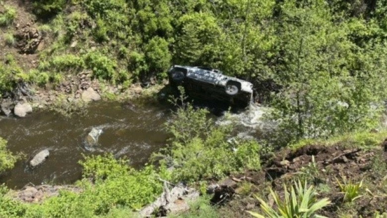 Perro ayuda a que su dueño sea rescatado luego de desbarrancarse en Oregon