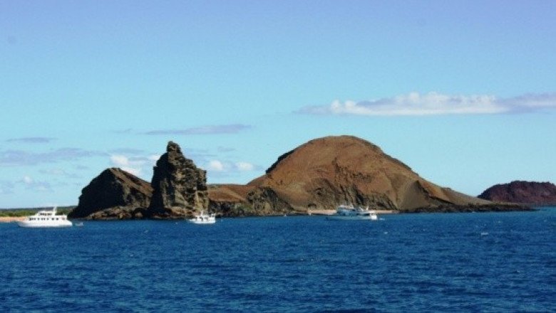 Galápagos: Dos detenidos por presunta pesca ilegal de pepinos de mar y tiburones