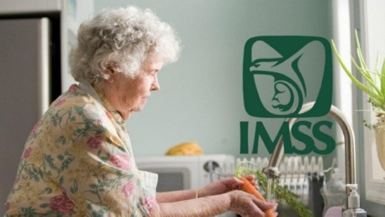 IMSS: ¿Qué es la pensión de renta vitalicia y quiénes pueden tramitarla?