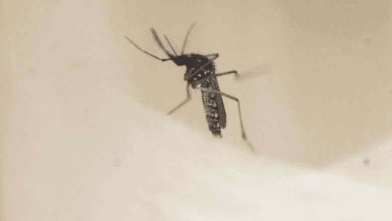 Este estado registra incremento del 700% en casos de dengue