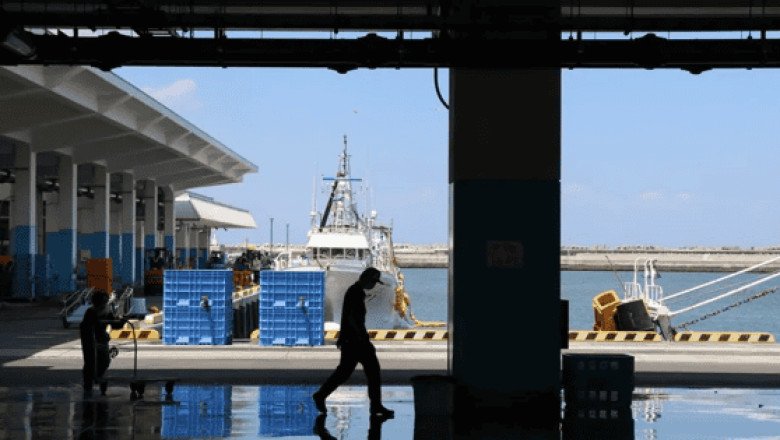 Expertos de OIEA analizan calidad de aguas residuales en planta de Fukushima