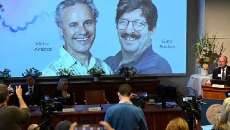 Nobel de Medicina 2024 para los descubridores del micro-ARN