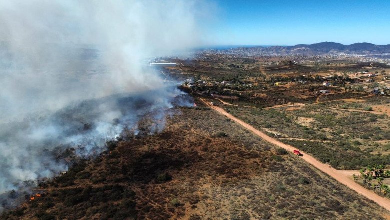 Atienden Bomberos de Ensenada incendio en kilómetro 13 de la Carretera Ojos Negro