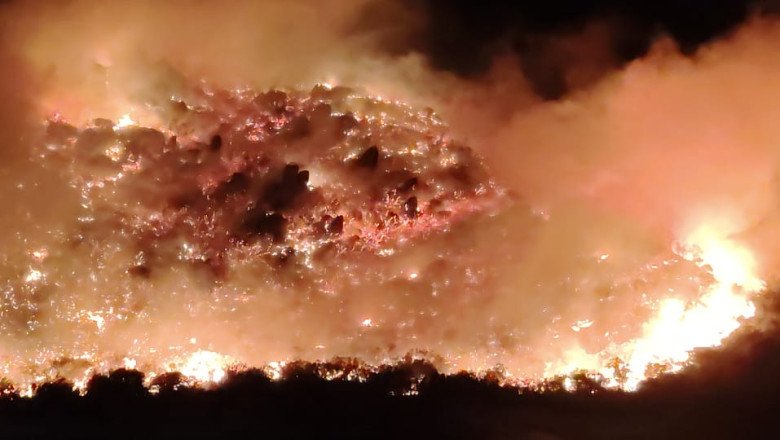 Participan Bomberos de Ensenada en la atención de incendio forestal en Valle de la Trinidad