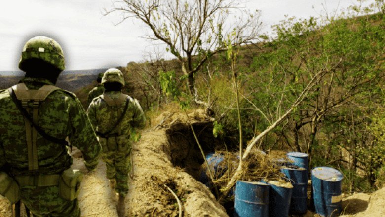 Halla y desmantelan laboratorio clandestino en Nayarit
