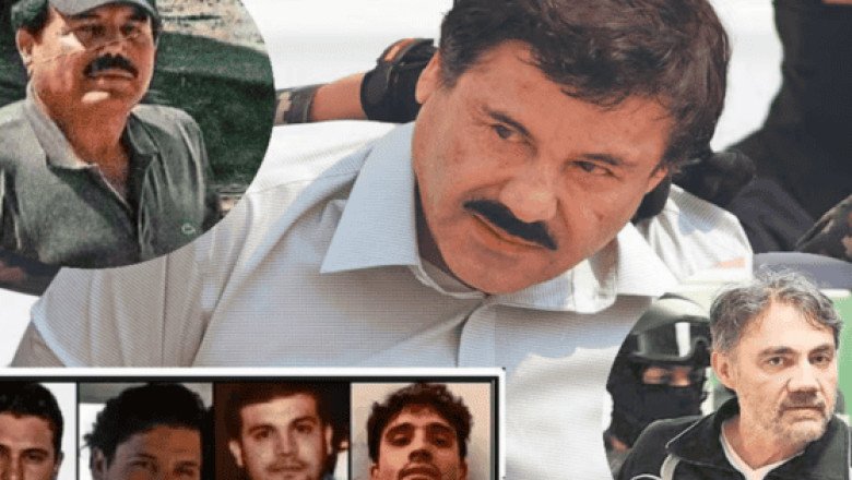 EU designa a cárteles mexicanos como grupos terroristas