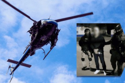 ¿Qué funciones en el cártel tenía Kevin Alonso , alias "El 200"?