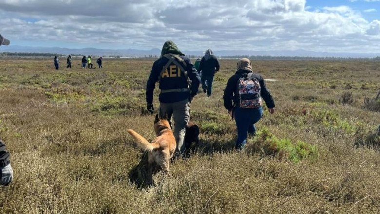 Localizan 5 cuerpos colectivo Madres Buscadoras de San Quintín
