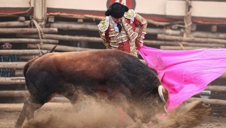 Gran expectación por la Corrida de Triunfadores en la Plaza Nuevo Progreso
