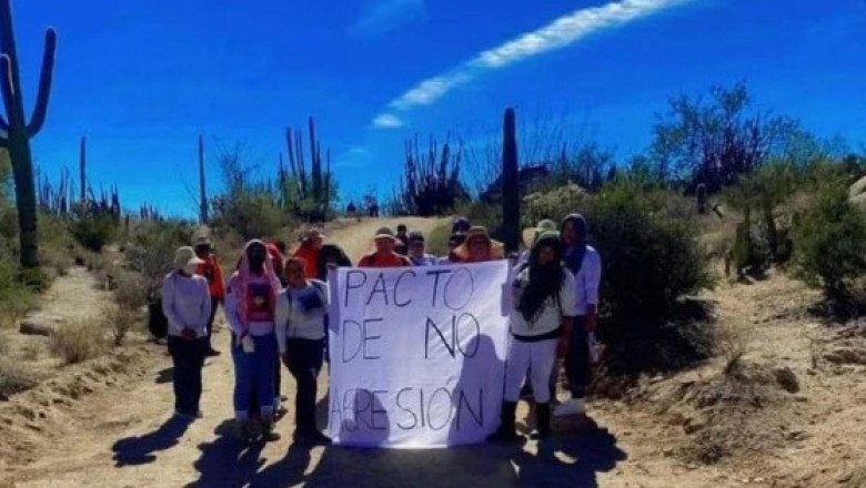 Buscadoras de Sonora piden "pacto de no agresión" al crimen organizado