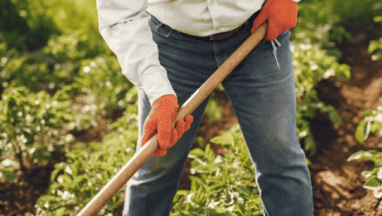 ¿Cómo afectan los aranceles de Trump a exportaciones agrícolas de Latinoamérica?