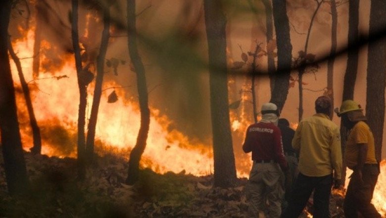 México registra 114 incendios forestales activos