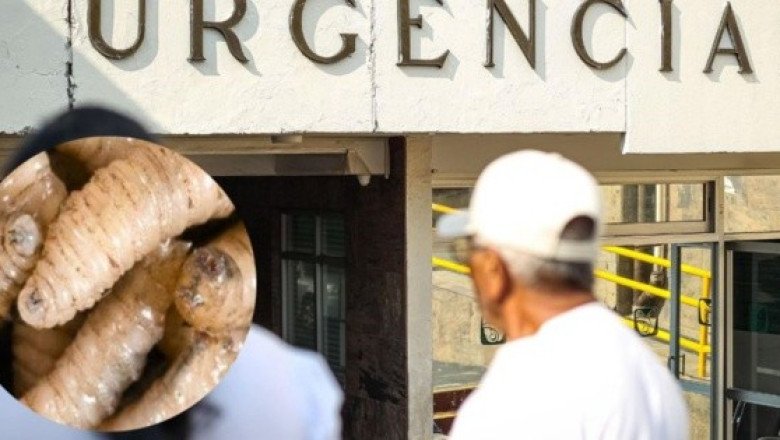 Secretaría de Salud confirma segundo caso de gusano barrenador en una persona