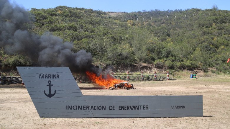 Incineran casi 300 kg de clorhidrato de cocaína