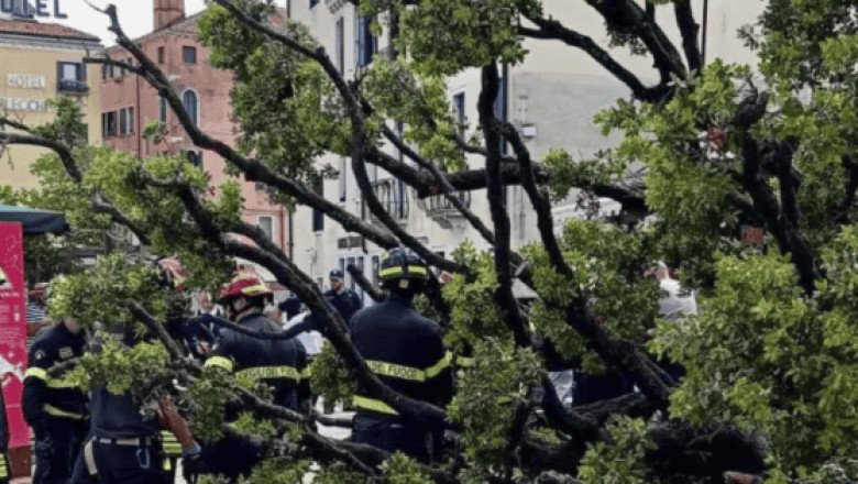 Árbol se desploma en Venecia y deja una docena de heridos