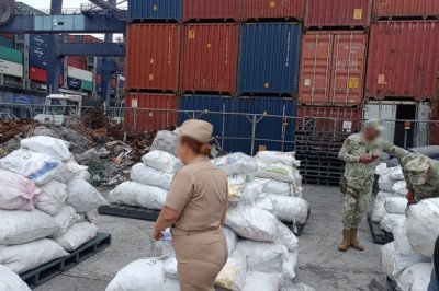 Retienen mas de 2 mil kg de aleta de tiburón en el recinto portuario