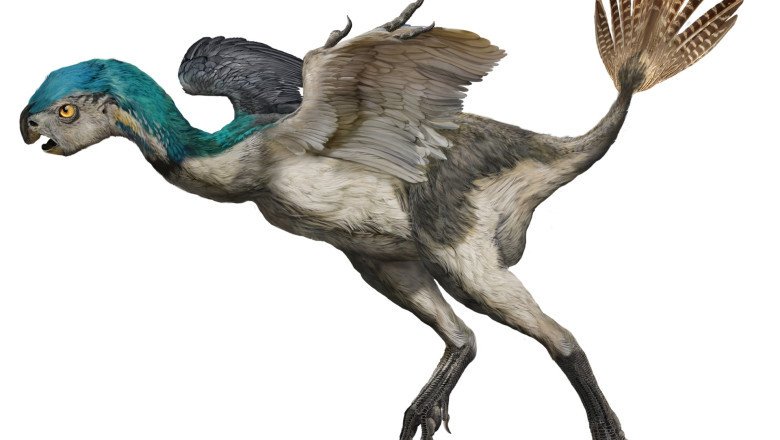 “Dinosaurios entre nosotros”, la nueva exposición de Museo Caracol