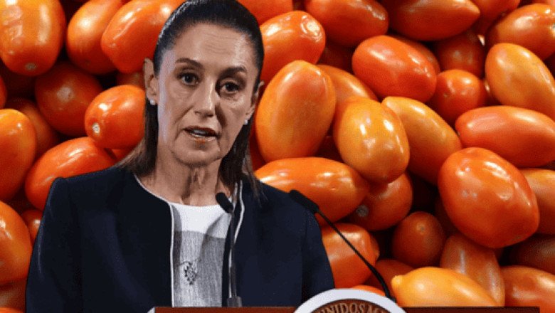 EU no tiene cómo cubrir la demanda de jitomate: Sheinbaum