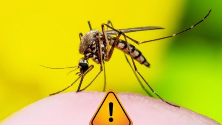 La razón por la que el dengue es tan peligroso