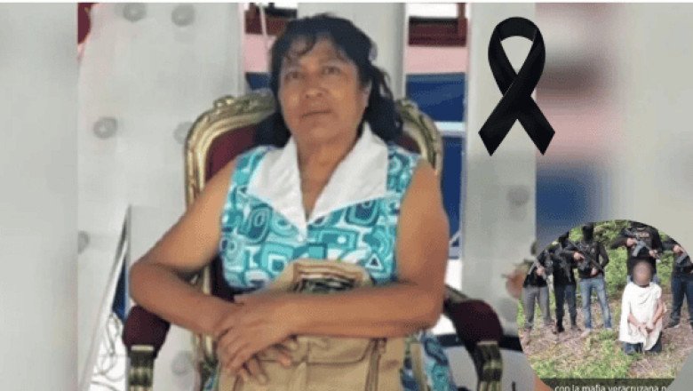 ¿Quiénes son la Mafia Veracruzana? Grupo detrás del asesinato de Irma Hernández Cruz