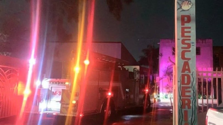 Lanzan bomba molotov contra pescadería durante la madrugada