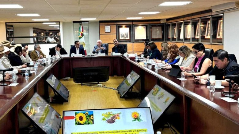 Mejores oportunidades para el campo en BC: Claudia Moreno
