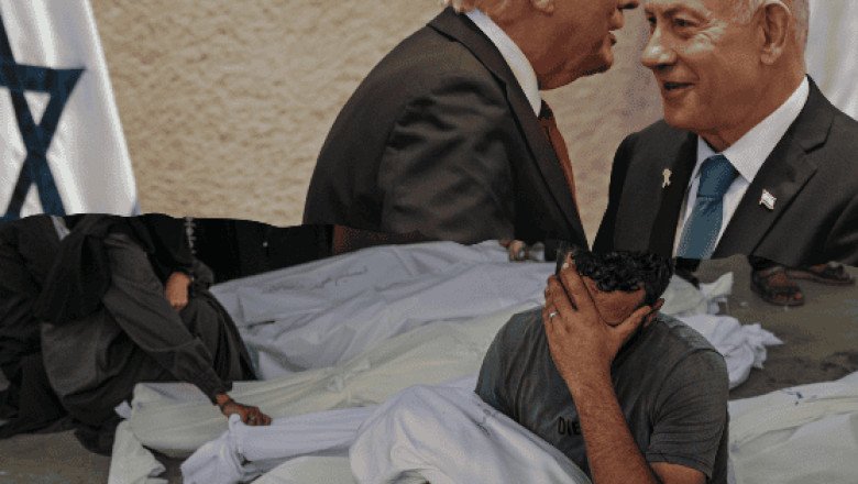 "Israel seguirá violando los derechos del pueblo palestino"; advierte  experto