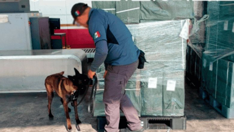 Aseguran casi 20 toneladas de tabaco ilegal provenientes de Japón en el AICM