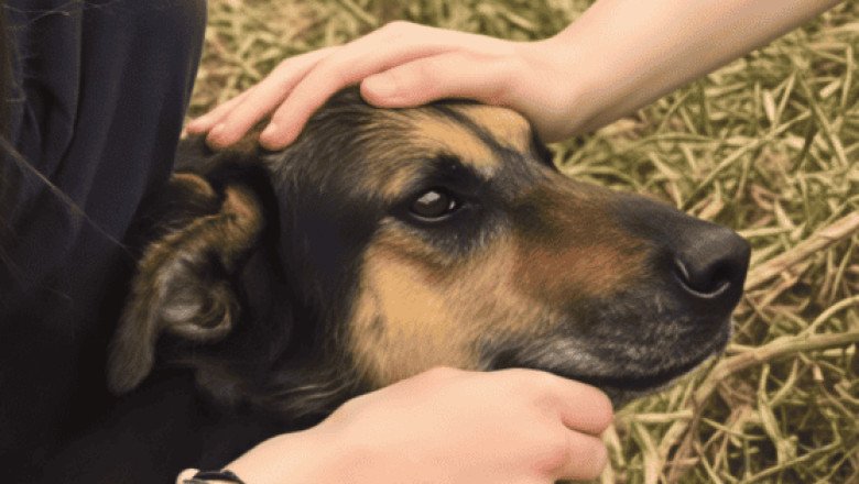 Refugio Franciscano hace nuevo acuerdo con el Gobierno de la CDMX