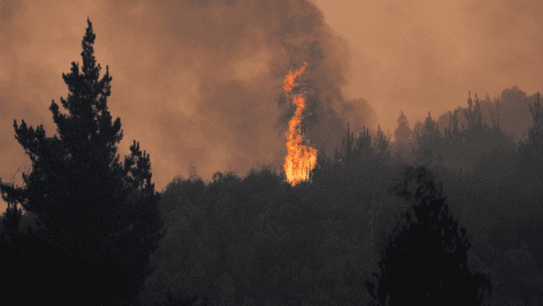 Suben a 20 las víctimas por incendios en el sur de Chile