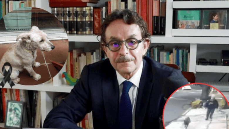 Revelan nuevo VIDEO del ataque al perro de Gabriel Quadri que fue asesinado