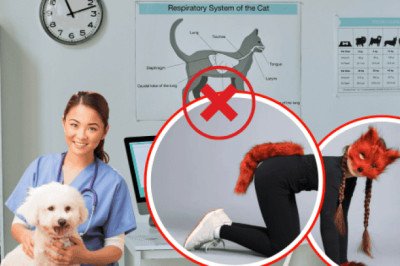 Therian: persona que se identifica como "perro" acude al veterinario por "moquillo"