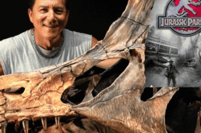 Descubren un nuevo Spinosaurus, el gigante que aterrorizó en "Jurassic Park III"