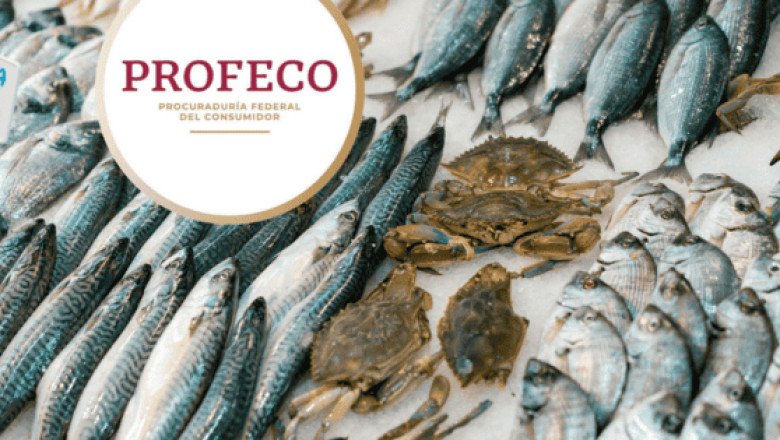 Profeco revela la clave para elegir mariscos frescos y evitar riesgos en Cuaresma