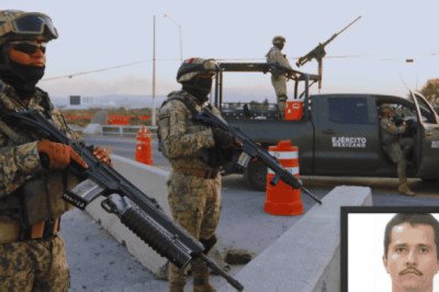 ¿Qué hubiera pasado si "El Mecho" estuviera preso y con vida?