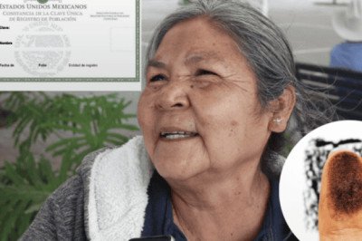 CURP biométrica: ¿Por qué es importante tramitarla para los adultos mayores?