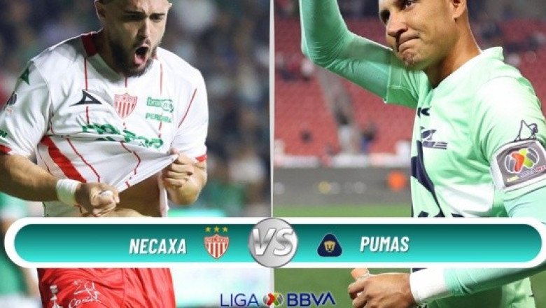 ¿Dónde ver EN VIVO el partido de J10 Necaxa vs Pumas?