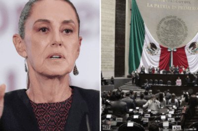 "No, que cada quien decida": Sheinbaum sobre el rechazo a reforma electoral del PT y Verde