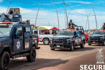 Localizan campamento criminal y aseguran armamento en Sinaloa