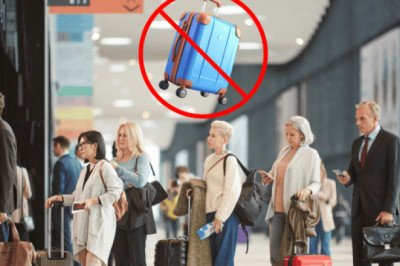 Semana Santa 2026: Lista de objetos prohibidos en la aduana si viajas a México