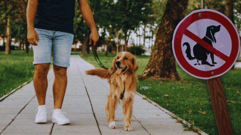 Estas son las 10 ciudades más "maleducadas" de México